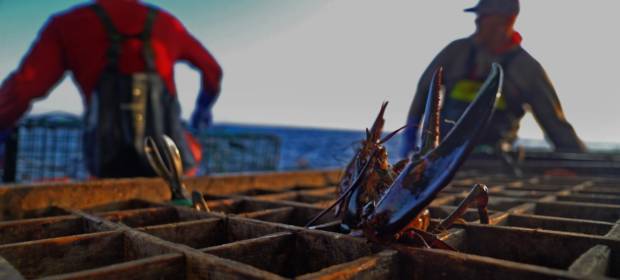 Lobster War: The Fight Over The World’s Richest Fishing Grounds