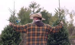 Fir Traders