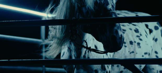 The Kalgan Horse